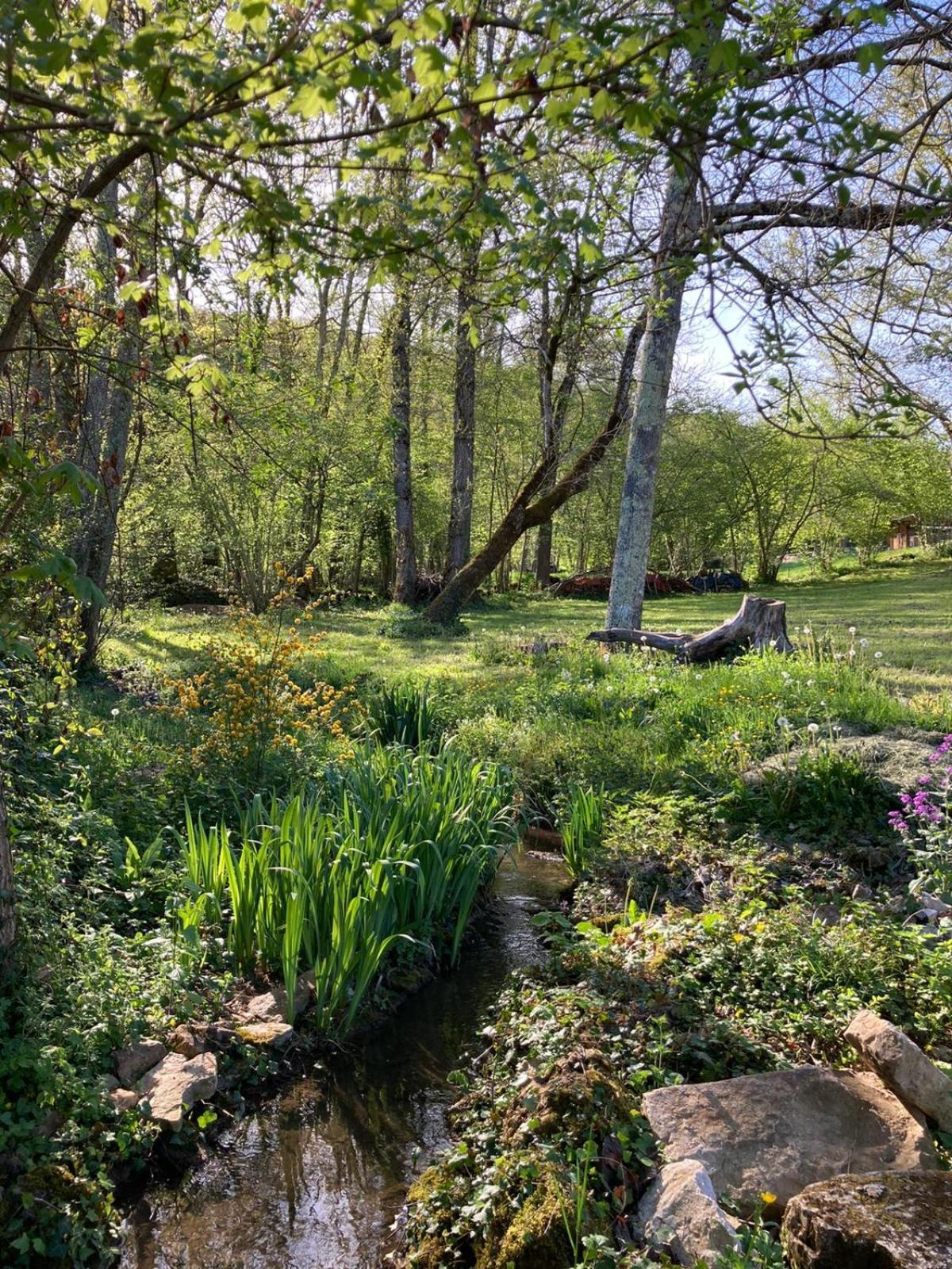 La Terralha Bed & Breakfast Saint-Pierre-Toirac Bagian luar foto